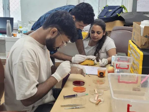 Clinician trying the prototype during a user study session